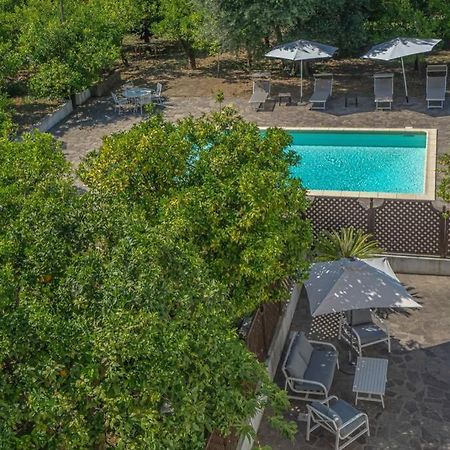 Casa Gege', For Up To 5 Guests, Shared Pool, Sorrento Center Apartment Exterior photo