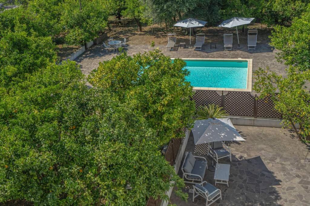 Casa Gege', For Up To 5 Guests, Shared Pool, Sorrento Center Apartment Exterior photo
